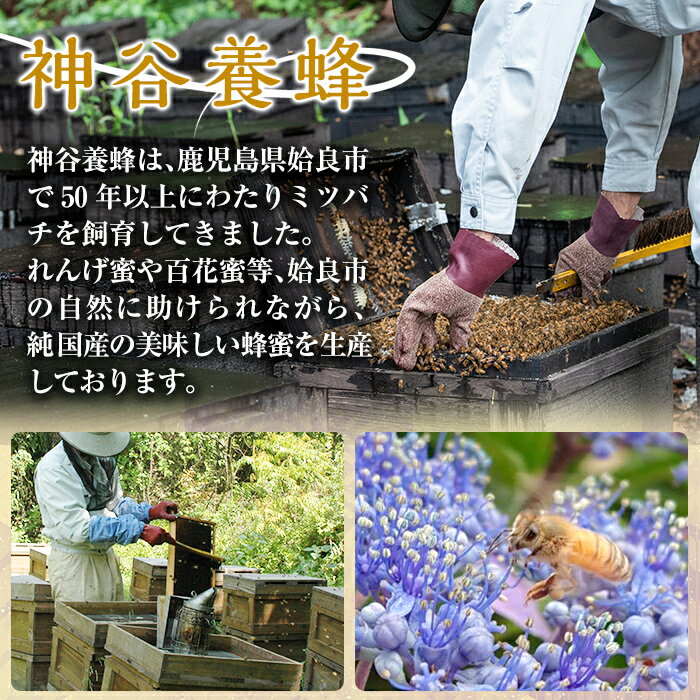 鹿児島県姶良市の画像2