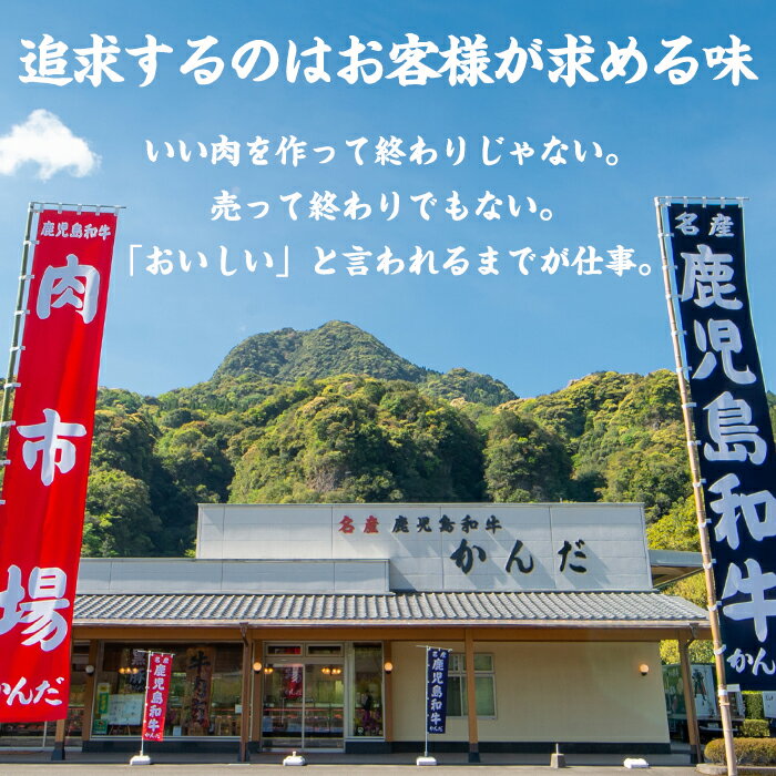 【ふるさと納税】≪5等級≫鹿児島黒毛和牛サーロインステーキ(250g×4枚・計1kg)こだわりの自社牧場！【名産鹿児島和牛かんだ】