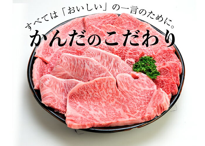 【ふるさと納税】≪5等級≫鹿児島黒毛和牛サーロインステーキ(250g×4枚・計1kg)こだわりの自社牧場！【名産鹿児島和牛かんだ】