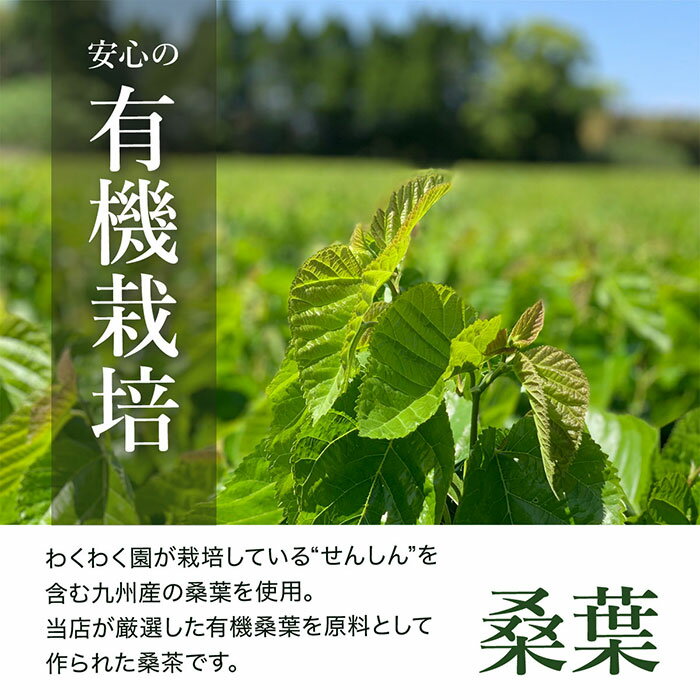 鹿児島県姶良市の画像3