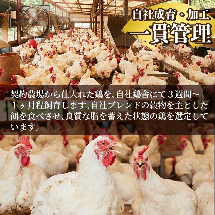 鹿児島県姶良市の画像3