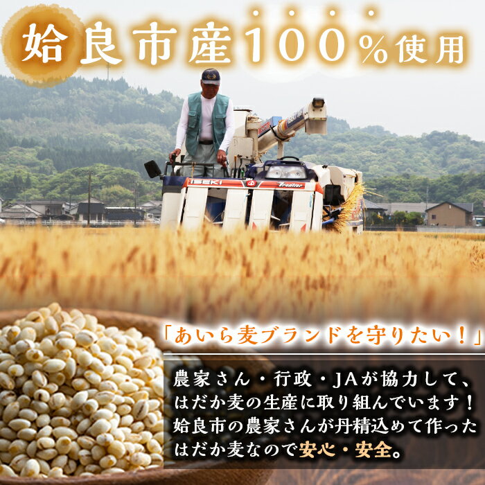 【ふるさと納税】数量限定！姶良市産はだか麦(計4kg・400g×10個)国産 姶良市 ご飯 麦ごはん はだか麦 穀物 食物繊維 小分け 【竹之内穀類産業】