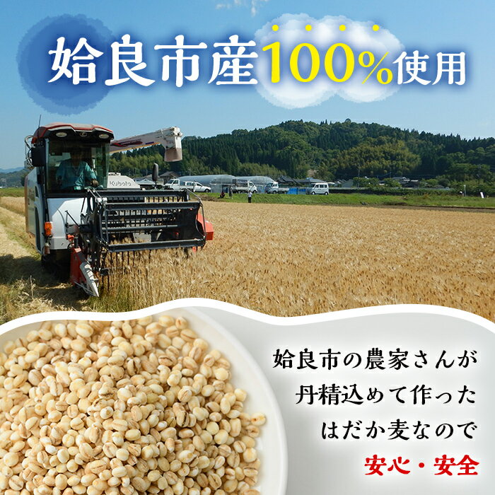 【ふるさと納税】《訳あり・数量限定》姶良市産はだか麦35g×105袋(合計約3.6kg超え)国産 姶良市 ご飯 麦ごはん はだか麦 穀物 食物繊維 小分け 常温 常温保存 【竹之内穀類産業】