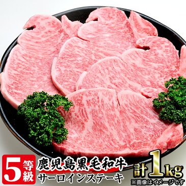 【ふるさと納税】≪5等級≫鹿児島黒毛和牛サーロインステーキ(250g×4枚・計1kg)こだわりの自社牧場！【名産鹿児島和牛かんだ】