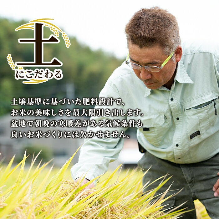 【ふるさと納税】＜選べる内容量＞《数量限定》令和7年産 新米 鹿児島県さつま町産 なつほのか ( 2kg・5kg ) 平成29年九州お米食味コンクール特別賞受賞 鹿児島県産 なつほのか 農家直送 ブランド米 お米 こめ 白米 ごはん ご飯【かじや農産】