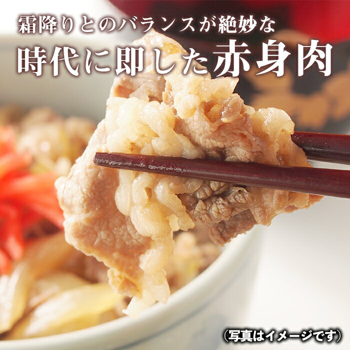 【ふるさと納税】鹿児島県産南国黒牛(肉専用種)切落し(計500g・250g×2パック) 鹿児島 国産牛 牛肉 黒牛 赤身 切落し 切り落とし スライス【カミチク】