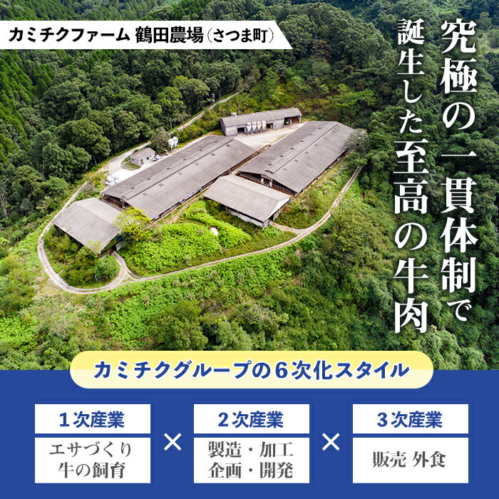 【ふるさと納税】鹿児島県産黒毛和牛ユッケ(計160g・40g×4パック)タレ付き！ 鹿児島 国産牛 九州産 牛肉 黒牛 生食用 小分け 冷凍【カミチク】