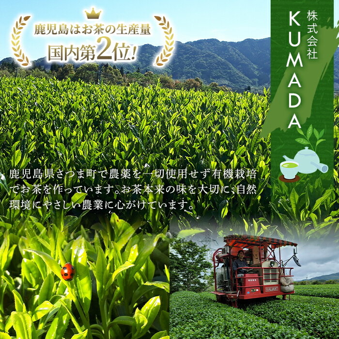 【ふるさと納税】有機和紅茶！明日香の紅茶-grace-(ティーバッグ3g×10個)×6袋！ 鹿児島 九州産 紅茶 ティー 茶葉 有機栽培【熊田製茶】