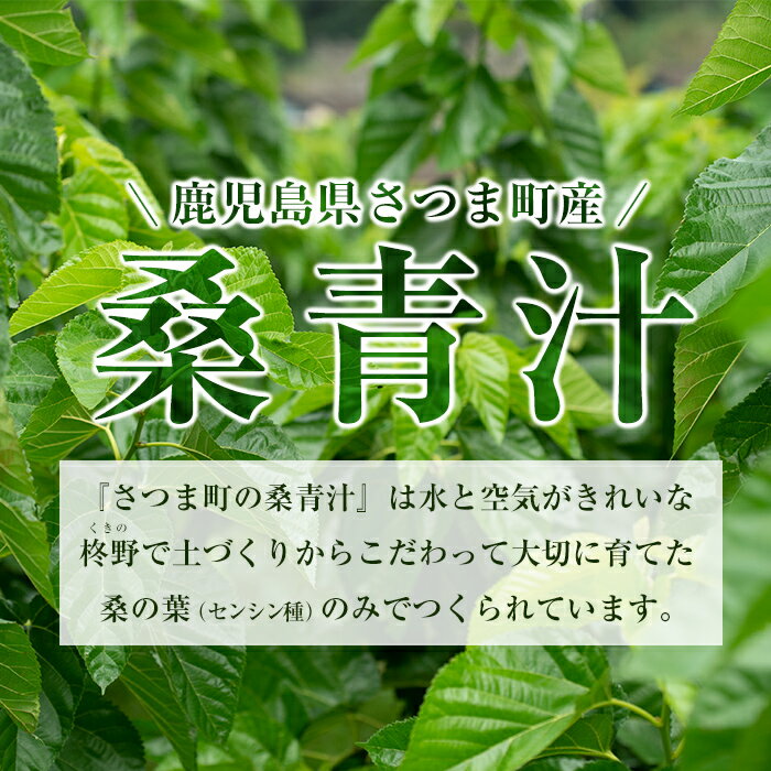 【ふるさと納税】さつま町の桑青汁(100g・50g×2袋) 鹿児島県産 無添加 桑の葉 100% 純粋 桑青汁 ノンカフェイン 食物繊維 野菜不足 ミネラル【さつま町桑青汁園】