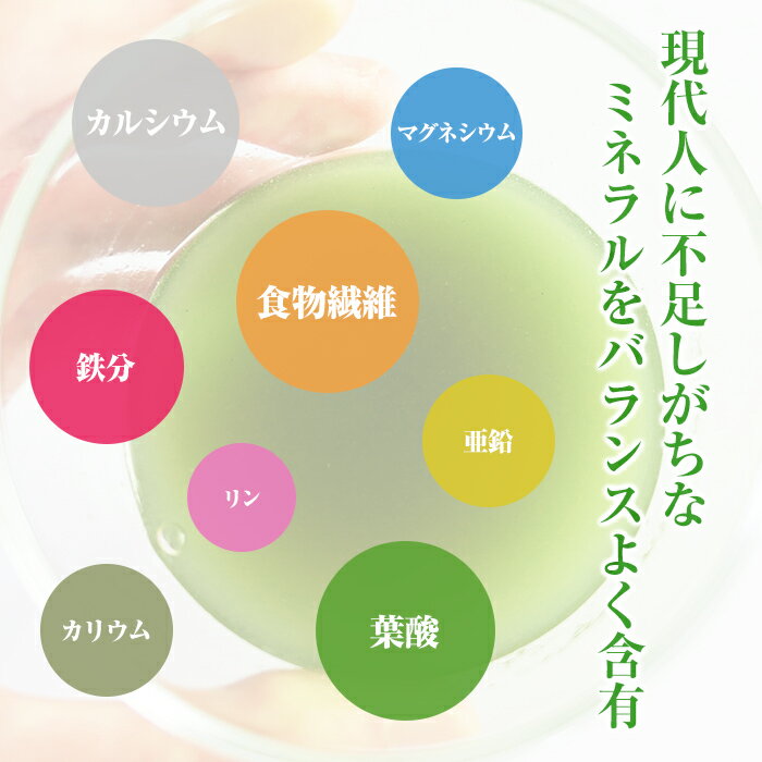 オーガニックインスタント珈琲・詰替用 （85g） 【むそう】