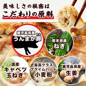 【ふるさと納税】タレ付き!鹿児島うんまか豚生餃子(計144個・12個入り×12P) にんにく・ニラ不使用!国産野菜100%のぎょうざ!焼き餃子だけでなく水餃子にも【肉の寺師】