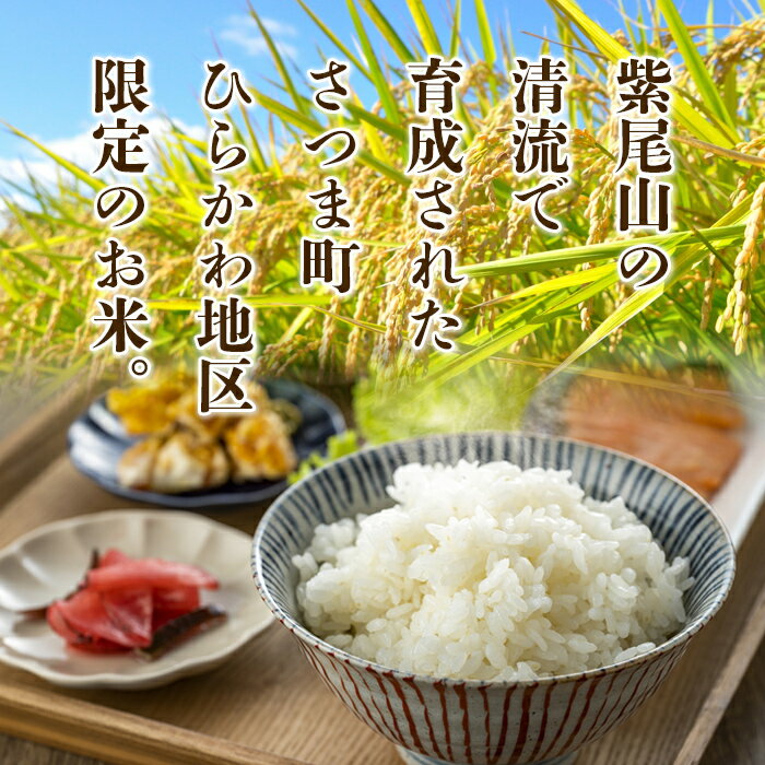 【ふるさと納税】鹿児島県さつま町平川産限定！ひらかわ清流米(5kg)農家さんのおすそわけ♪白米！ 鹿児島 国産 九州産 白米 精米 お米 こめ コメ ごはん ご飯【ひらかわ屋】