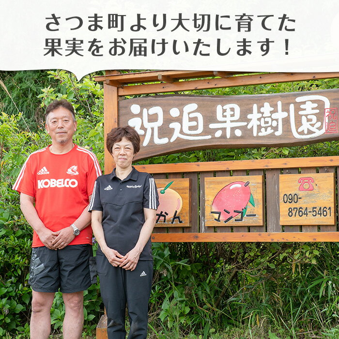 【ふるさと納税】＜2023年1月より順次発送予定＞≪期間限定≫新生十万みかん(ご家庭用・計10kg・S～Lサイズ)「貯蔵みかんの王様」とも呼ばれる生産量が少ない希少な品種！【祝迫果樹園】