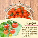 鹿児島県さつま町の画像3
