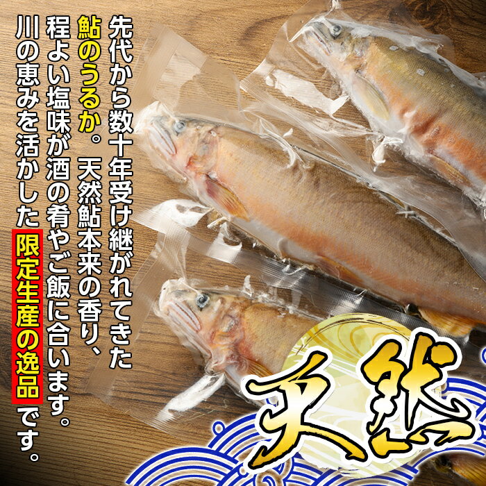 【ふるさと納税】＜期間・数量限定＞鮎うるか2種(計2本・卵×1本、はらわた×1本・各50g) 塩辛 うるか にがうるか おつまみ 珍味 発酵食品 あゆ アユ 魚 魚介 川魚 内臓 はらわた【しもむぎ】