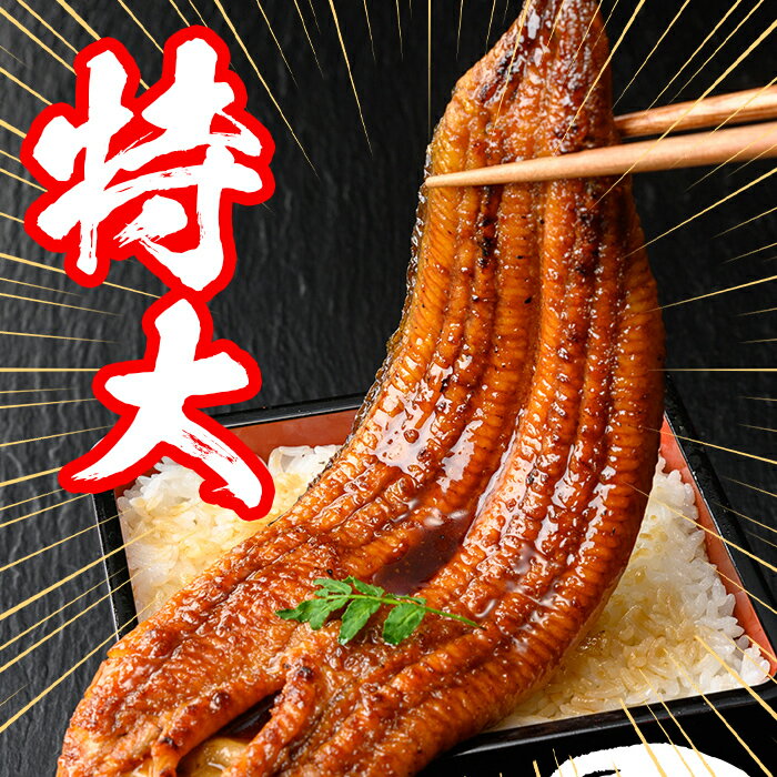 【ふるさと納税】＼特大サイズ／ 鹿児島県産 鰻蒲焼真空セット！( 1尾あたり約220g・2尾 or 3尾 or 5尾 ) タレ・山椒付！ 鹿児島 九州産 国産 うなぎ ウナギ 鰻 土用の丑の日 蒲焼き うな重 ひつまぶし 定期便 隔月 1ヶ月おき 冷凍 【薩摩川内鰻】