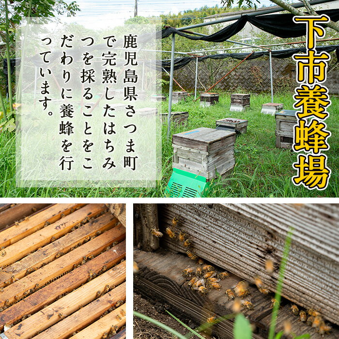 【ふるさと納税】国産天然山蜜チューブタイプ(250g×2本 計500g) 鹿児島 天然 100％ 純粋はちみつ 蜂蜜 ハニー チューブタイプ ヨーグルト パン【下市養蜂場】