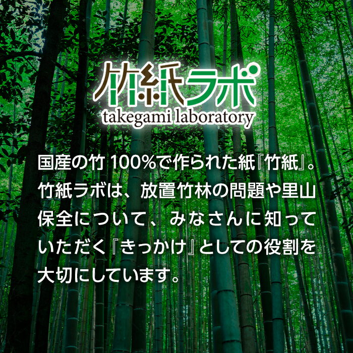 【ふるさと納税】《数量限定》しなやかさとハリの両方を持ち合わせた竹紙の質感を活かした折り紙『ORIGAMI』KESHIKIとSATOYAMAの2セット！（各2セット・計4セット）鹿児島 竹紙 おりがみ 折り紙 色紙 グラフィック【竹紙ラボ】