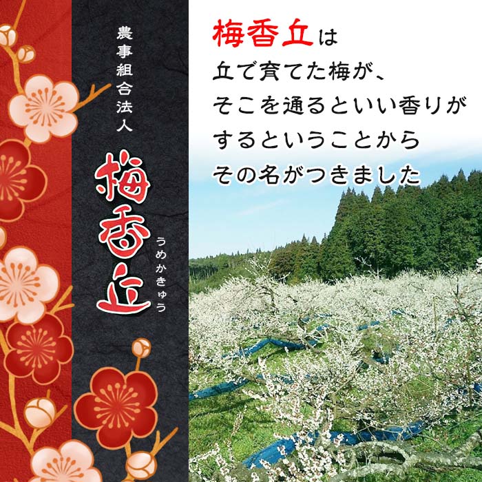 【ふるさと納税】＜種類が選べる＞梅干しセット！国産赤紫蘇100%使用しそ漬け・白干し(計800g・400g×2箱) 鹿児島 国産 梅 うめ ウメ 梅干し ご飯のお供に 食べ比べ セット 常温 贈答 ギフト 【梅香丘】