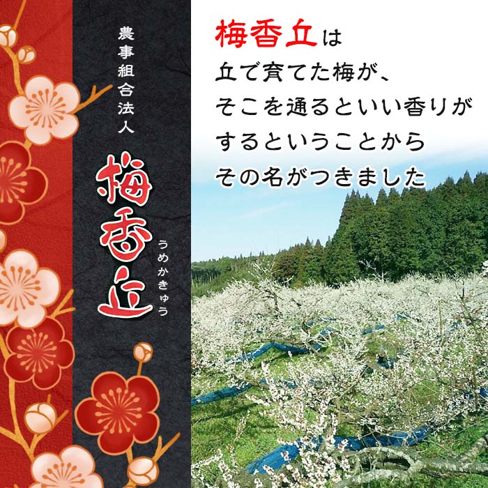 【ふるさと納税】【連続・隔月選べる定期便3回】＜訳あり＞しそ漬け梅干し(計2.4kg・400g×2箱×3回・塩分約11％) 鹿児島 国産 九州産 梅干し うめ 梅 漬け物 ご飯のお供に【梅香丘】