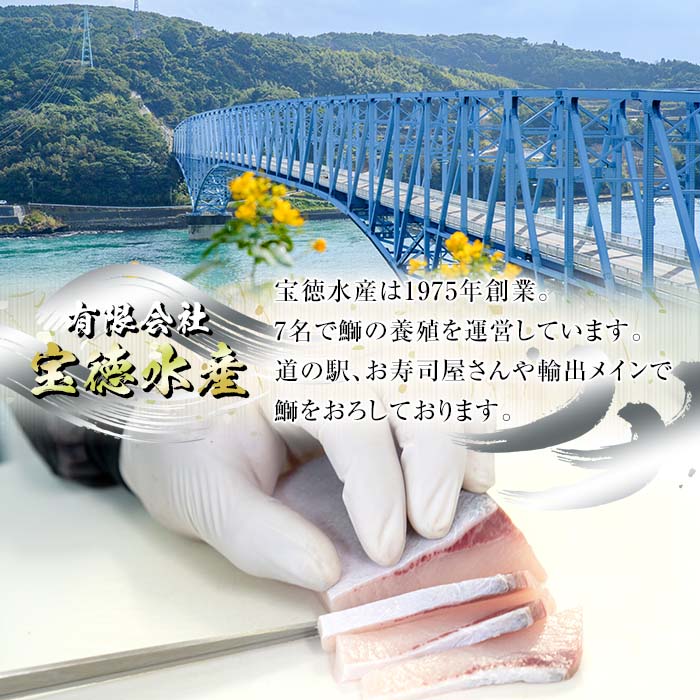 【ふるさと納税】鹿児島県長島町産 鰤づくしCセット(全4種)国産 ブリ ぶり 刺身 刺身用 ブロック 煮つけ 照り焼き ブリカマ 鰤カマ 切り身 アラ 塩焼き セット 丼 おかず おつまみ しゃぶしゃぶ ぶりしゃぶ 急速冷凍 凍眠【宝徳水産】houtoku-6002