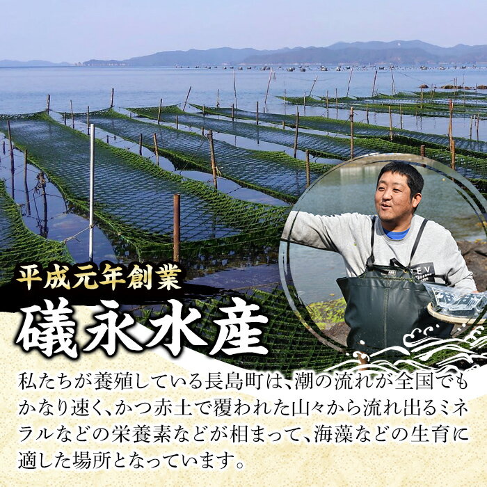 【ふるさと納税】礒永水産の乾燥あおさ 200g