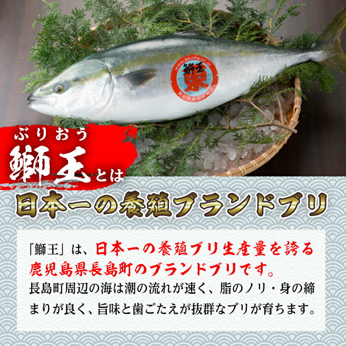 【ふるさと納税】鰤王大根（ぶりおうだいこん）5缶セット