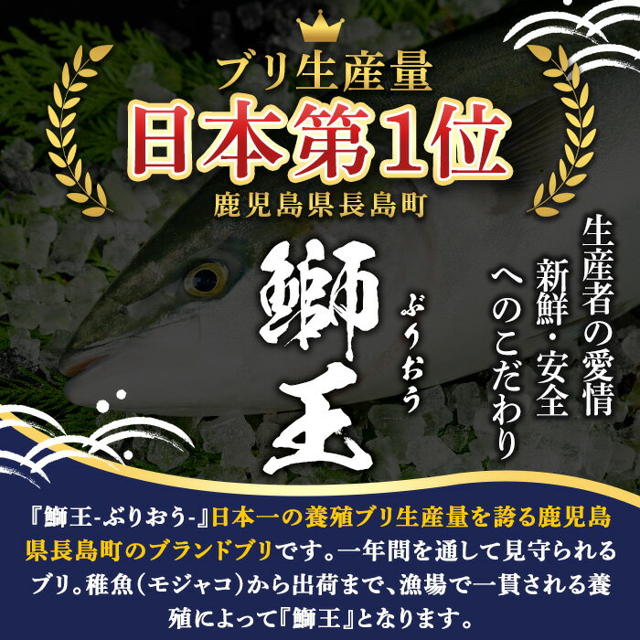 【ふるさと納税】テレビで紹介されました！長島町特産「鰤王」フィレ(約1.5kg・フィレ1枚)国産 鹿児島県産 ブリ ぶり 冷蔵 海鮮 海産物 魚介 ブランド 魚 刺身 ぶりしゃぶ しゃぶしゃぶ 産地直送【JFA】jfa-710