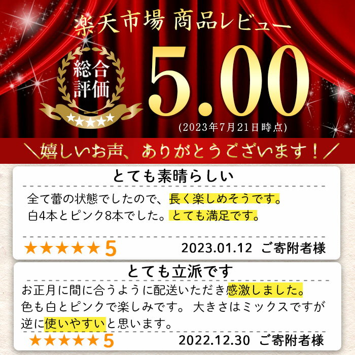 【ふるさと納税】＼ 母の日 に最適／ 4/28決済完了で5/12までにお届け！ 高評価★5.00 「 オリエンタルリリー ( ユリ )」旬のミックス(12本) ふるさと納税 花 花束 鹿児島県産 国産 九州 長島町 百合 植物 フラワー 観賞用 ギフト 贈答 記念日 【宮路園芸】miyaji-6058