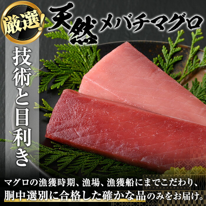 【ふるさと納税】天然メバチマグロのたたき(約300g)国産 めばちまぐろ 鮪 丼物 手巻き マグロハンバーグ 魚貝 魚介 海産物 ネギトロ ねぎとろ 小分け【勇進水産】yushin-968