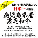 鹿児島県湧水町の画像2
