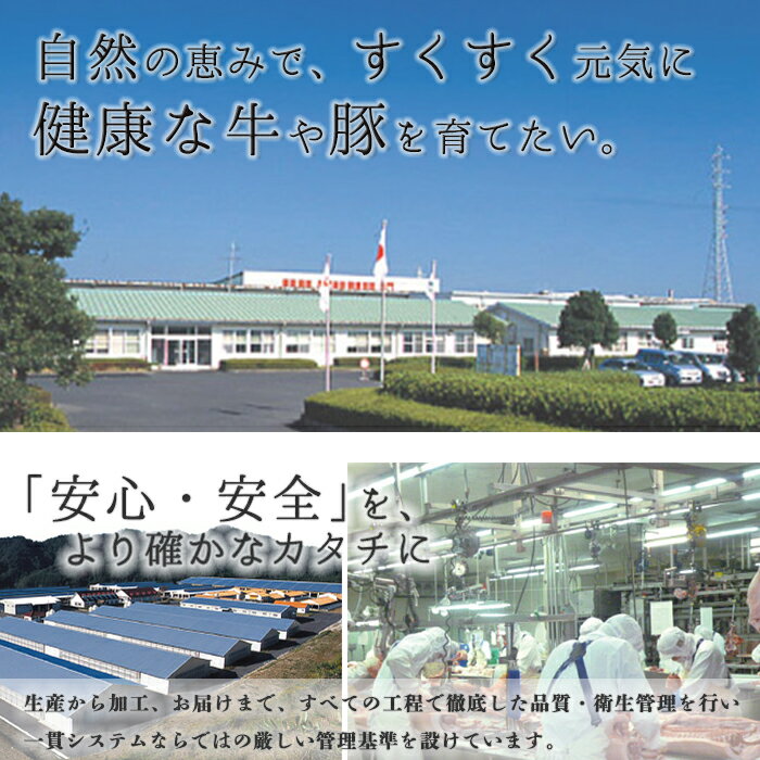 【ふるさと納税】H-801 鹿児島黒牛・黒豚しゃぶしゃぶセット(総合計1.5kg) 国産 九州産 牛肉 黒毛和牛 和牛 国産牛 豚肉 ぶた肉 ロース バラ ウデ すき焼き しゃぶしゃぶ 小分け 冷凍【湧水町JAあいら】