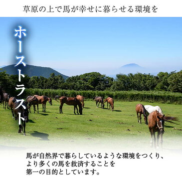 【ふるさと納税】馬主のいない馬を助けたい!トラストスポンサーチケット!里親として1年間サポートするシステムです【NPO法人ホーストラスト】