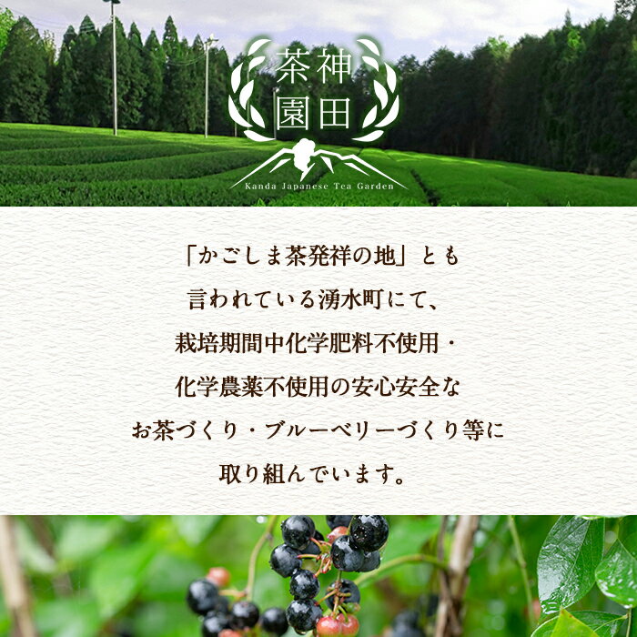 【ふるさと納税】神田茶園×きくすい堂コラボ！一番摘み茶葉使用ティーバック(4g×25)上煎茶(100g)ときくすい堂の和洋菓子(7～10個)の詰め合わせ！ 和菓子 詰め合わせ 食べ比べ スイーツ お菓子 おかし 饅頭 まんじゅう お茶 茶葉 日本茶 ギフト 贈答 贈り物【神田茶園】