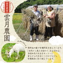 鹿児島県湧水町の画像2