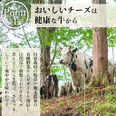 鹿児島県湧水町の画像3