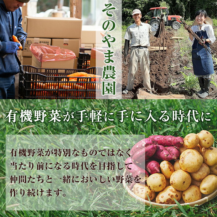 【ふるさと納税】【訳あり】《数量・期間限定》湧水町産にんじん＆じゃがいも(各6kg・計12kg)+季節の野菜1品セット！国産 九州産 鹿児島産 有機野菜 有機栽培 人参 ニンジン 芋 いも 野菜 やさい 訳アリ おかず 旬 詰め合わせ【そのやま農園】