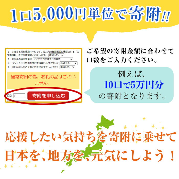 【ふるさと納税】≪返礼品なし≫鹿児島県湧水町への寄附【湧水町】