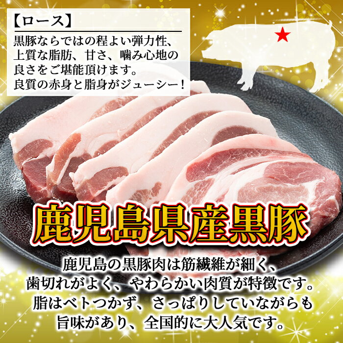 【ふるさと納税】鹿児島県産黒豚ロースステーキ 計500g(100g×5枚)良質な赤身とジューシーな脂身を堪能！鹿児島が育んだ豚肉の芸術品！【財宝】