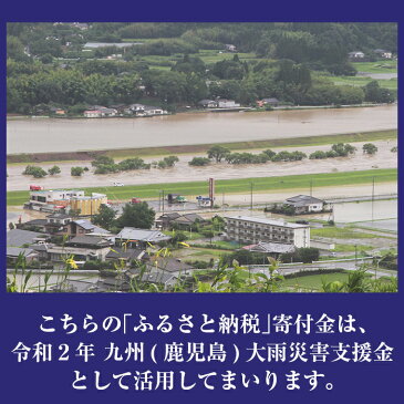 【ふるさと納税】【令和2年 九州(鹿児島)大雨災害支援緊急寄附受付】鹿児島県姶良郡湧水町災害応援寄附金（返礼品はありません）