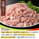 鹿児島県湧水町の画像2