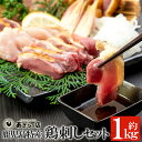 【ふるさと納税】鹿児島特産 鶏刺しセットを自家製タレで♪鮮度...