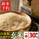【ふるさと納税】≪2019年11月上旬〜12月上旬の間に発送