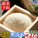 【ふるさと納税】≪2019年11月上旬〜12月上旬の間に発送...