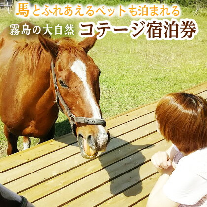 馬とふれあう&ペットと宿泊できる！ コテージPOSY　1泊2日宿泊券（1名様分）体験チケット 体験 レジャー アクティビティ ペット ふれあい 馬 宿泊 宿【霧島アート牧場】