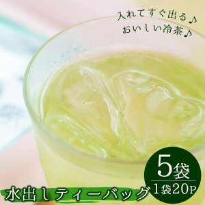 【ふるさと納税】水分補給に!冷たい水出し湧水ティーバッグ5袋 (5g×20パック入りヒモなし)【野本園】が大人気返礼品になっている理由とは ふるさと納税 人気 返礼品 ランキング