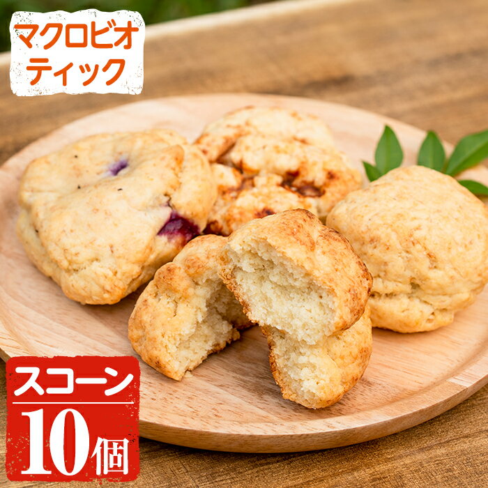 【ふるさと納税】マクロビオティック焼き菓子詰め合わせスコーン10個(5種各2個)《乳製品・玉子・白砂糖不使用》ブルーベリー・キャロブチップ・玄米甘酒シナモン・香ばし炒りぬか・アーモンドスコーンなどの計5種類の味が楽しめる！【雲月農園】