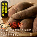 鹿児島県東串良町の画像3