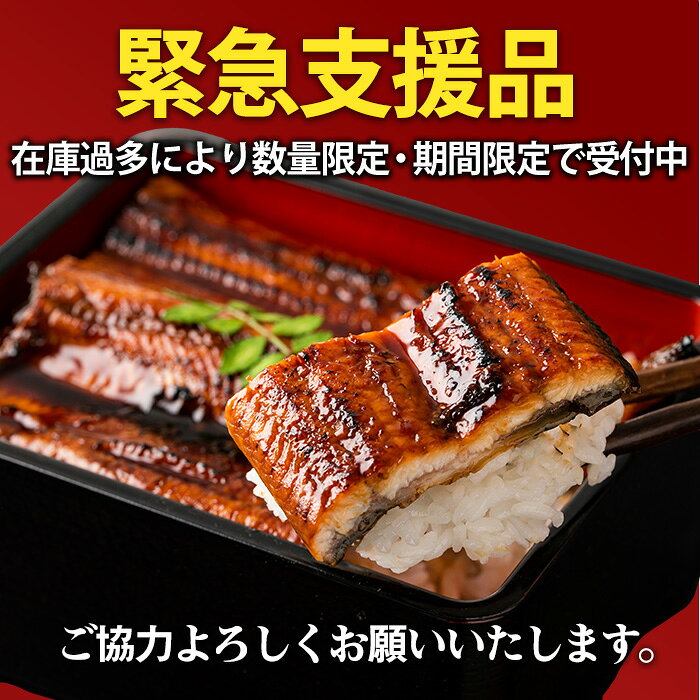 鹿児島県東串良町の画像3