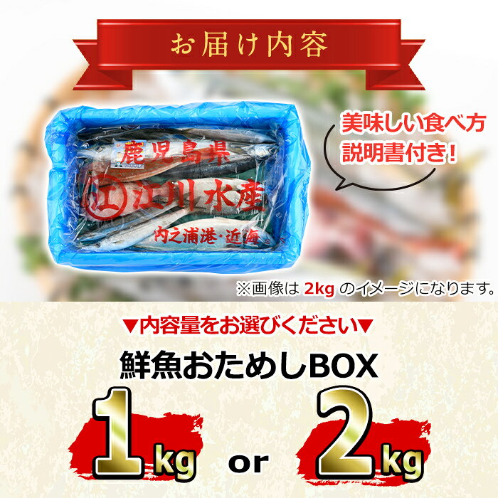 【ふるさと納税】＼高評価★4.5獲得！／《選べる容量！》朝獲れ発送！鮮魚問屋が厳選した『鮮魚おためしBOX』(約1kg or 2kg) 魚 魚介類 鮮魚 海鮮 詰め合わせ セット 刺身 天ぷら 煮つけ 塩焼き【江川商店】【0103213a】【0153201a】 f464821-higashikushira-10000663 鹿児島県東串良町 サンプル画像2